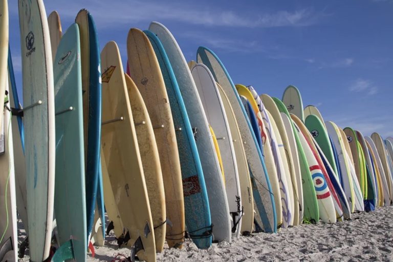 Surfboard Selection: Matching Your Board to the waves